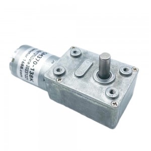 FT-46SGM370 Worm gear reduction gearbox with motor