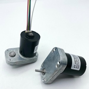 FT-65FGM3640 afi e leai ni pulumu Mirco dc gear motors BLDC afi mo Laiti pamu pamu