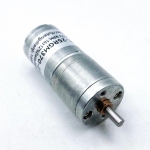 FT-25RGM370 Mirco DC geared motor Spur Gear Motor robot motor