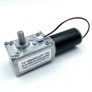 FT-58SGM31ZY Dhawaaqa ugu hooseeya 58mm Dirxiga Gear Motor