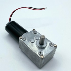 FT-58SGM31ZY Dhawaaqa ugu hooseeya 58mm Dirxiga Gear Motor