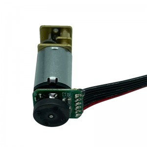 FT-12FGMN20 small Flat gearmotor  12mm gearbox motor with encoder