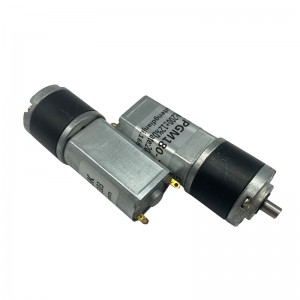 FT-22PGM180 Planetary Gear Mótor