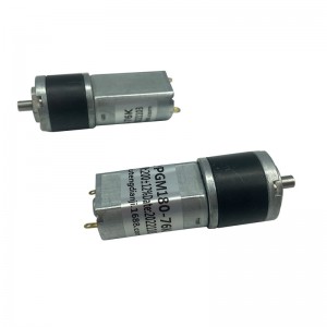 FT-22PGM180 Planetary Gear Mótor