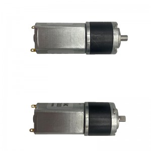 FT-22PGM180 Planetary Gear Mótor