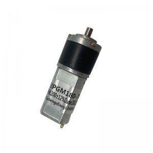 FT-22PGM180 Planetary Gear Mótor