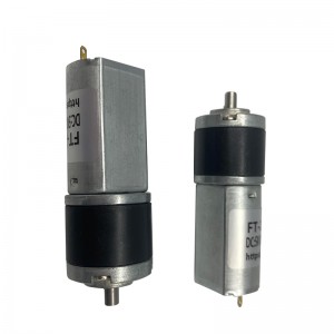 FT-22PGM180 Planetary Gear Mótor
