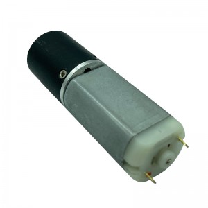 FT-24PGM290 Planetary Gear Motor