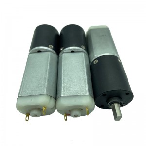 FT-24PGM290 Planetary Gear Motor