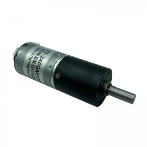 FT-24PGM370 Planetary Gear Motor