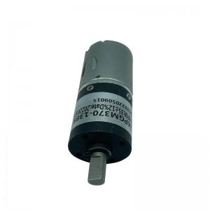 FT-24PGM370 48v bursti jafnstraumur plánetískur gírminnkunarmótor