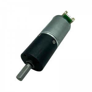 FT-24PGM370 Planetary Gear Motor