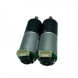 FT-24PGM370 Planetary Gear Motor
