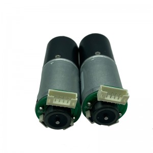 FT-24PGM370 Planetary Gear Motor