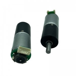 FT-24PGM370 Planetary Gear Motor