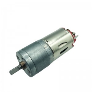 FT-25RGM Spur gearmotor Replaceable carbon brush motor