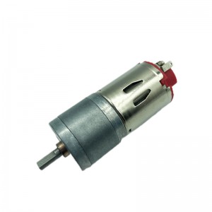 FT-25RGM Spur gearmotor Replaceable carbon brush motor