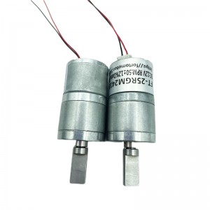 Ft-25rgm2418 Round Spur Gearbox Motor With Brushless Motor