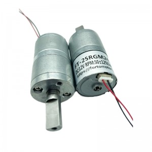 Ft-25rgm2418 Round Spur Gearbox Motor With Brushless Motor