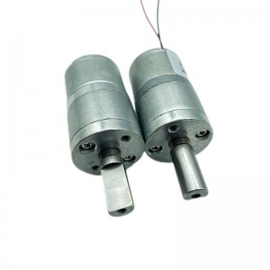 Ft-25rgm2418 Round Spur Gearbox Motor With Brushless Motor