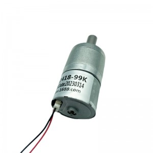 Ft-25rgm2418 Round Spur Gearbox Motor With Brushless Motor