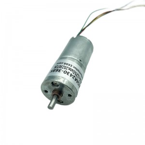 FT-25RGM2430 Spur gear motor brushless motor