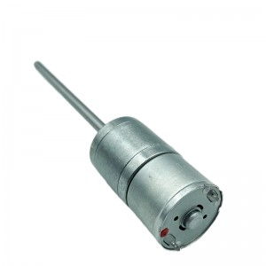 FT-25RGM310 Spur Geared Motor
