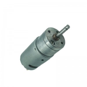 FT-25RGM385 25mm DC brushed spur gear motor for deal cards equipment