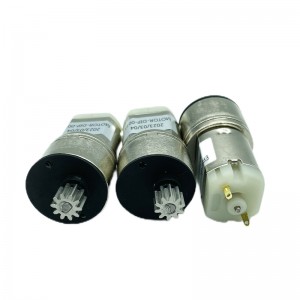 FT-27RGM260 27mm Spur Gear Motor