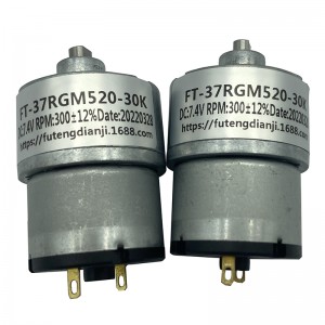 FT-37RGM520 Spur geared motors