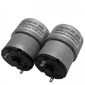 FT-37RGM520 Spur geared motors