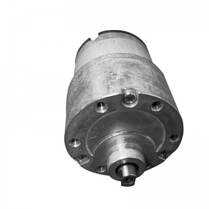 FT-37RGM520 Spur geared motors