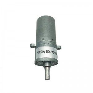 FT-37RGM545 Round Spur gear motor with gear reduction