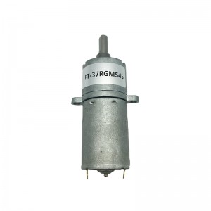 FT-37RGM545 Round Spur gear motor with gear reduction