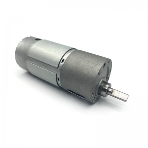 FT-37RGM555 Spur gear reduction motor