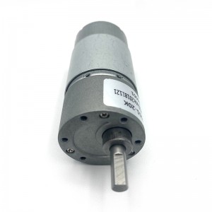 FT-37RGM555 Spur gear reduction motor
