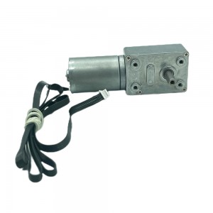 FT-46SGM2838 12 volt gear reduction motor worm drive dc brushless motor