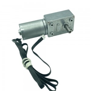 FT-46SGM2838 12 volt gear reduction motor worm drive dc brushless motor