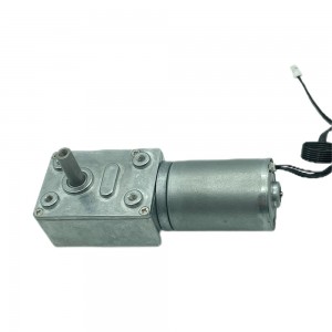 FT-46SGM2838 12 volt gear reduction motor worm drive dc brushless motor