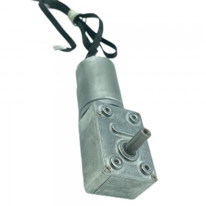 FT-46SGM2838 12 volt gear reduction motor worm drive dc brushless motor