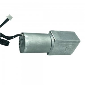 FT-46SGM2838 12 volt gear reduction motor worm drive dc brushless motor