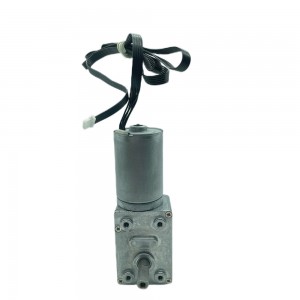 FT-46SGM2838 12 volt gear reduction motor worm drive dc brushless motor