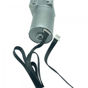 FT-46SGM2838 12 volt gear reduction motor worm drive dc brushless motor