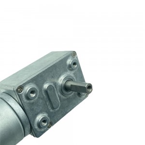 FT-46SGM2838 12 volt gear reduction motor worm drive dc brushless motor