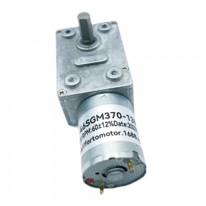 FT-46SGM370 Worm gear reduction gearbox with motor