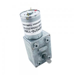 FT-46SGM370 Worm gear reduction gearbox with motor