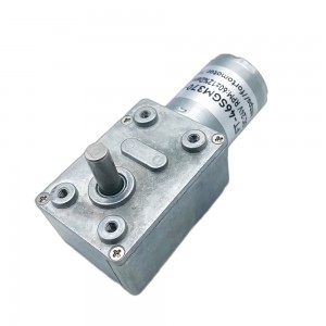 FT-46SGM370 Worm gear reduction gearbox with motor