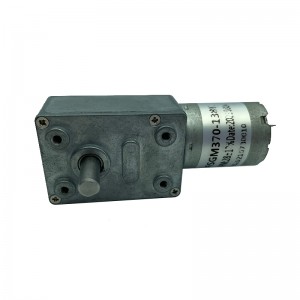 FT-46SGM370 worm gearbox  motor robotics motor