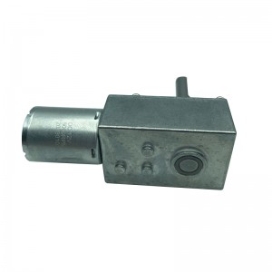 FT-53SGM370 53mm Worm Gear Motor 370 motor for robot