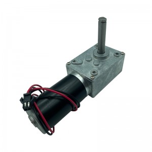FT-58SGM31ZY DC brushed right angle worm gear motor